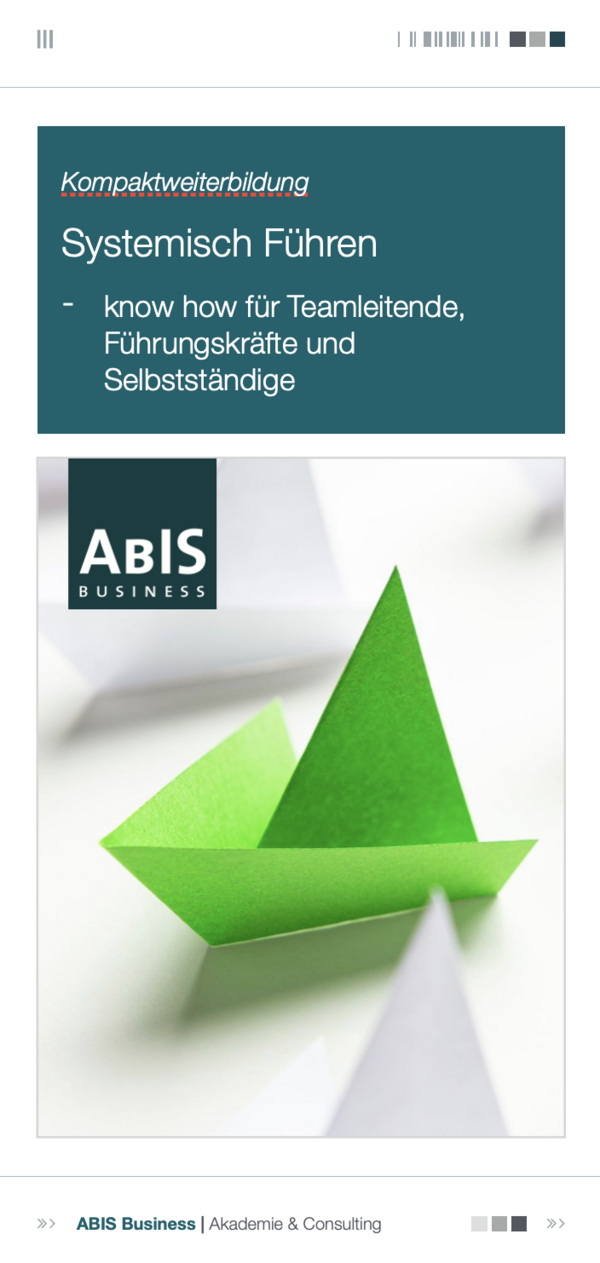 Flyer Systemisch Führen 2025